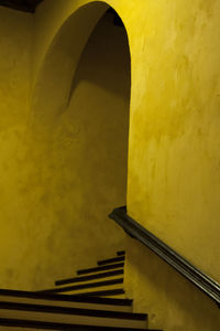 Close-up of yellow