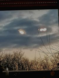 Low angle view of silhouette plants against sky at sunset