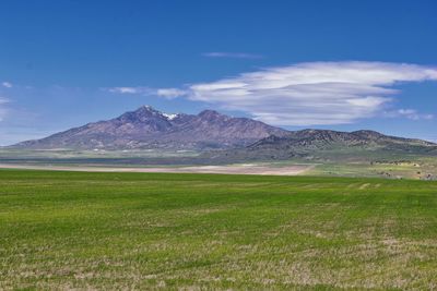 Scenic view of field against sky