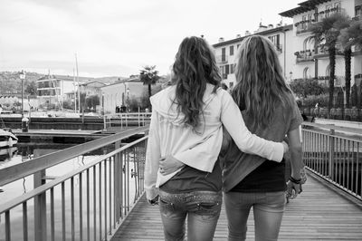 Rear view of friends standing at harbor against sky