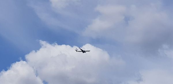 Low angle view of airplane flying in sky