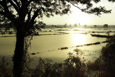 Scenic view of lake against sky at sunset