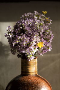 Close-up of potted plant on table