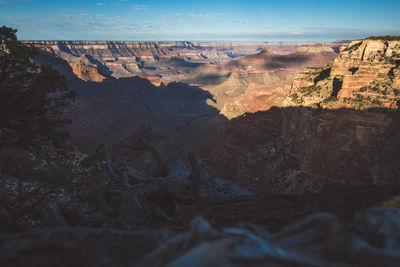 Grand canyon north rim