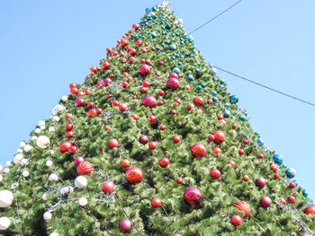 Low angle view of christmas tree against clear sky