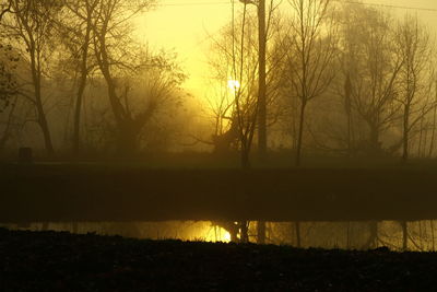 Silhouette bare trees by lake against sky during sunset