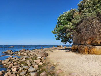 The baltic sea coast