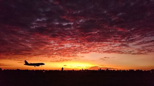 Silhouette birds flying against orange sky