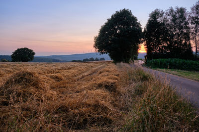 Scenic view of field against sky during sunset