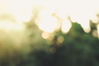 Defocused image of tree against sky