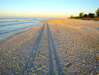 Scenic view of beach against clear sky