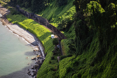 High angle view of river amidst trees