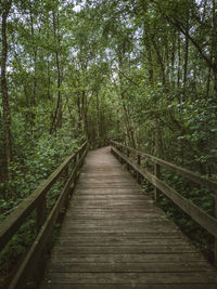 Wooden footbridge along trees in forest