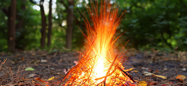 Close-up of fire