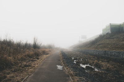 Road amidst plants against clear sky during foggy morning