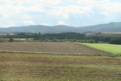 Scenic view of field against sky