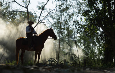 Full length of man sitting on horse at forest