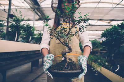 Woman holding plant in greenhouse