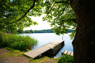 Wessling,scenic view of lake against trees