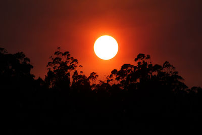 Low angle view of silhouette trees against sky during sunset