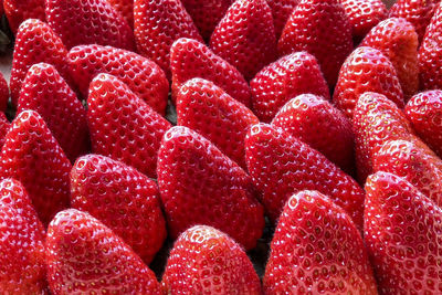 Full frame shot of red strawberries