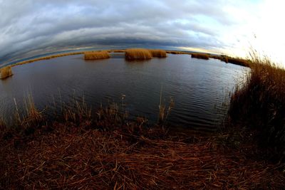 Scenic view of beach against sky