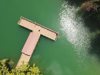 High angle view of wood by lake