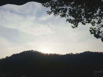 Low angle view of silhouette trees against sky during sunset