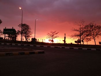 Silhouette of trees at dusk