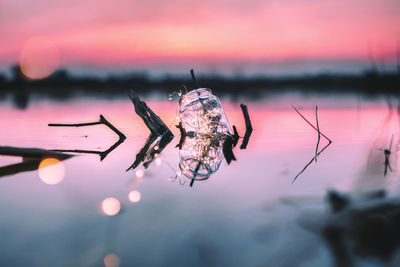 Close-up of illuminated string lights in glass jar floating on water during sunset