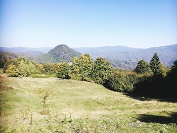 Scenic view of landscape against clear sky