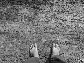 Low section of person standing on road