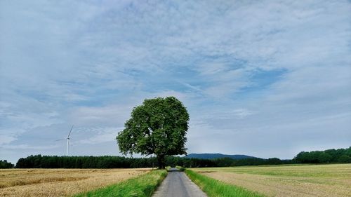 Scenic view of grassy field against sky