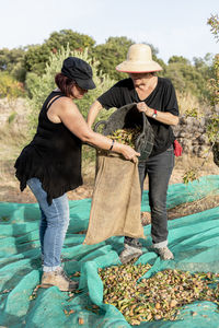 Two female farmers harvesting almonds by hand in a traditional.