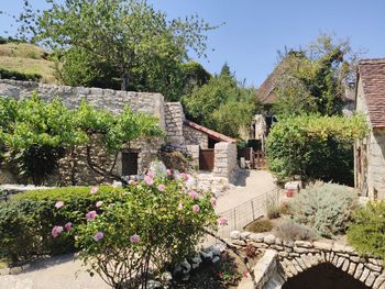 Flowering plants outside building