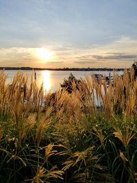 Scenic view of sea against sky during sunset