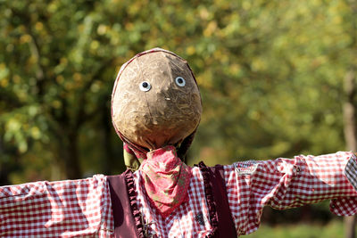 Close-up of scarecrow against trees
