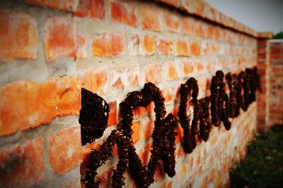 Close-up of stone wall