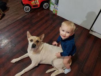 Portrait of cute baby sitting on wooden floor at home