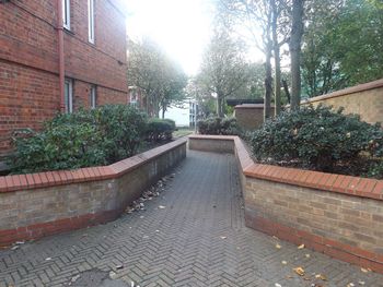 Footpath amidst trees and buildings