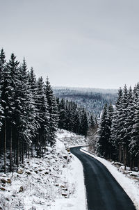 Snow covered road amidst trees in forest against sky