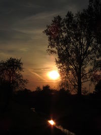 Silhouette trees against sky during sunset