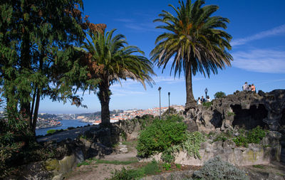 Scenic view of palm trees by sea against sky