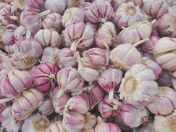 Full frame shot of pink flowers for sale in market