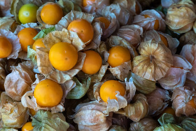 High angle view of fresh fruits