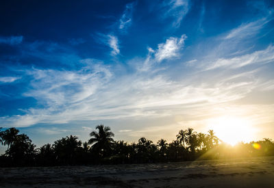 Silhouette trees on beach against sky at sunset