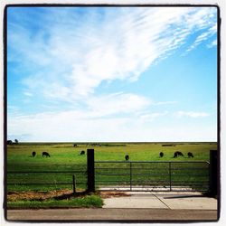 Scenic view of grassy field against cloudy sky