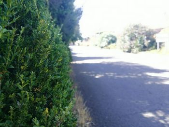 Surface level of road along countryside landscape