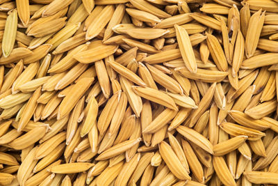 Full frame shot of rice paddy