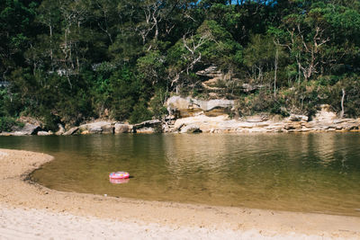 Scenic view of trees by river